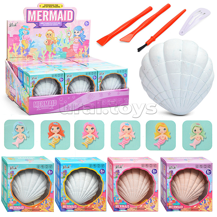 Раскопки "Ракушка" в коробке