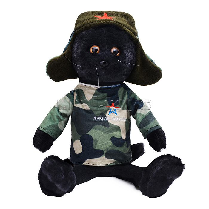 Кот Военный