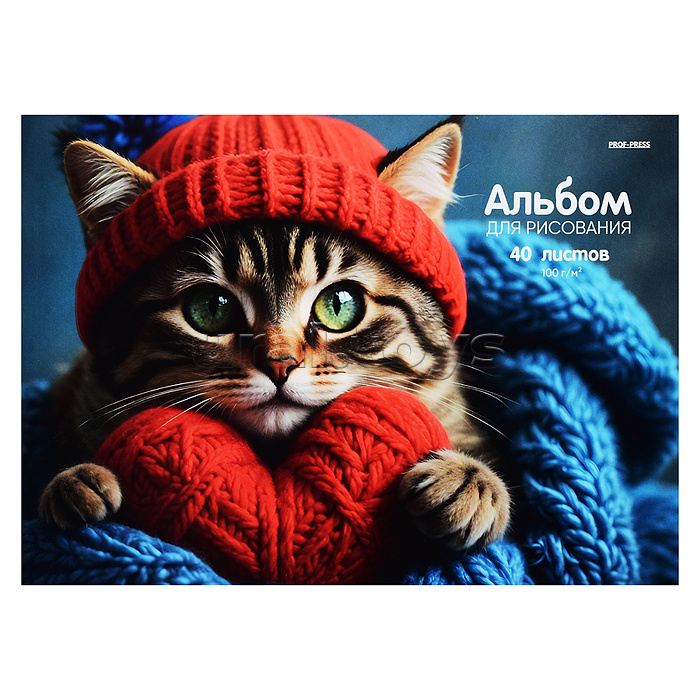 Альбом для рисования 40л. "Кот в шапке" А4, КБС, картон. обл, офсет