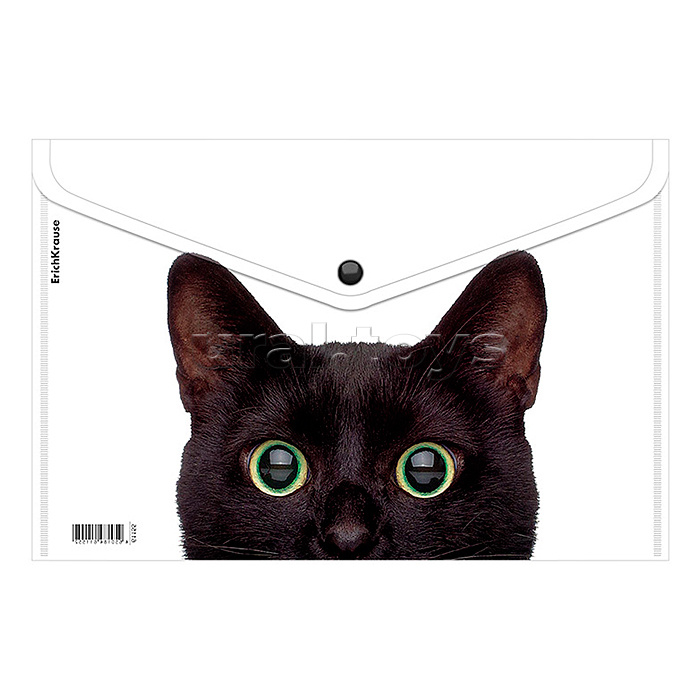 Папка-конверт на кнопке пластиковая Hiding Cats, A4, ассорти