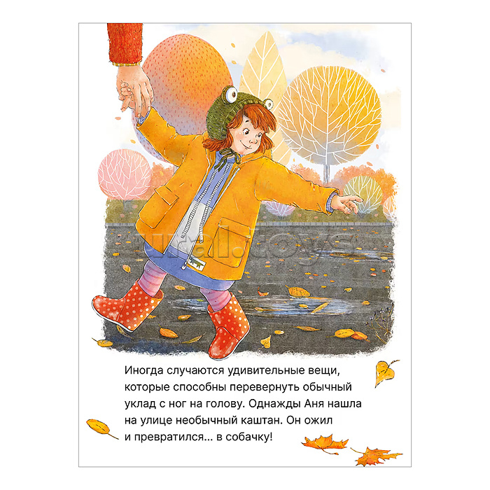 Книжный клуб. Почитаем вместе? Каштановая собачка Книжный клуб. Почитаем вместе? Каштановая собачка