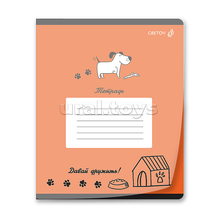 Тетрадь 12л. линия "Давай дружить" пластик. обложкой 180 мкм. с трафарет. печатью