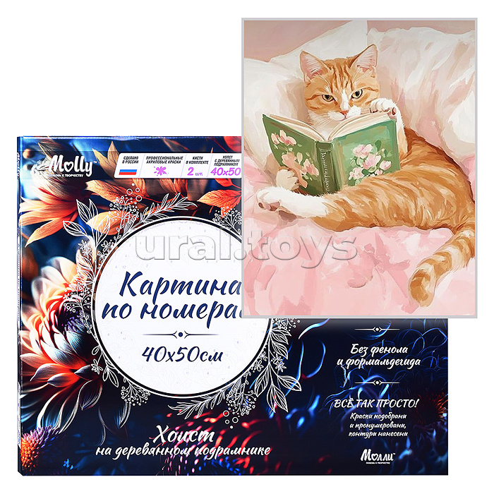 Картина по номерам 40х50 "Кот с книгой" 23 цвета