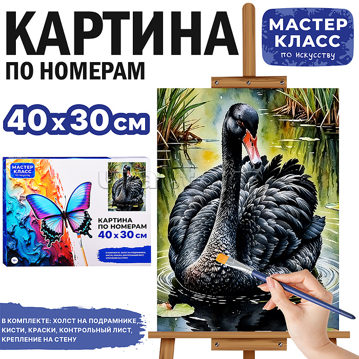 Картина по номерам MKR4030-156 "Черный лебедь" 40х30 см.