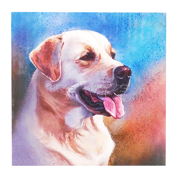 Картина по номерам 30х30 "Лабрадор ретривер" (25 цветов)