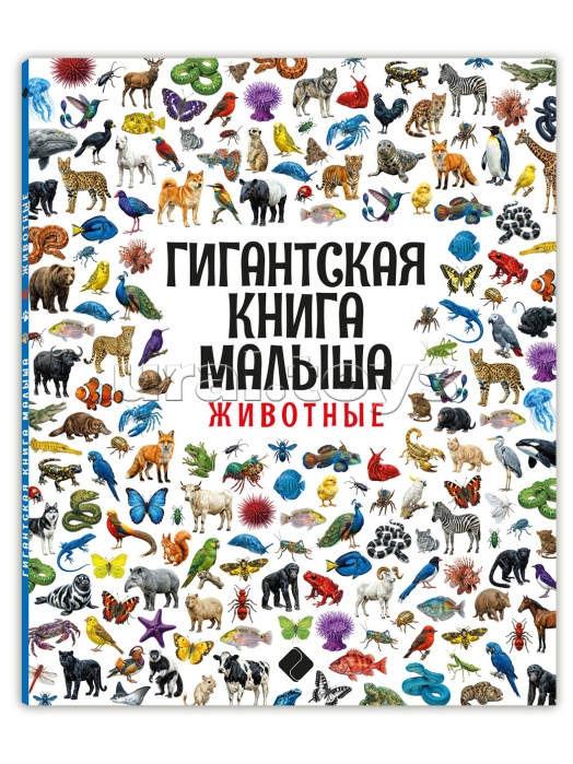 Гигантская энциклопедия малыша. Животные
