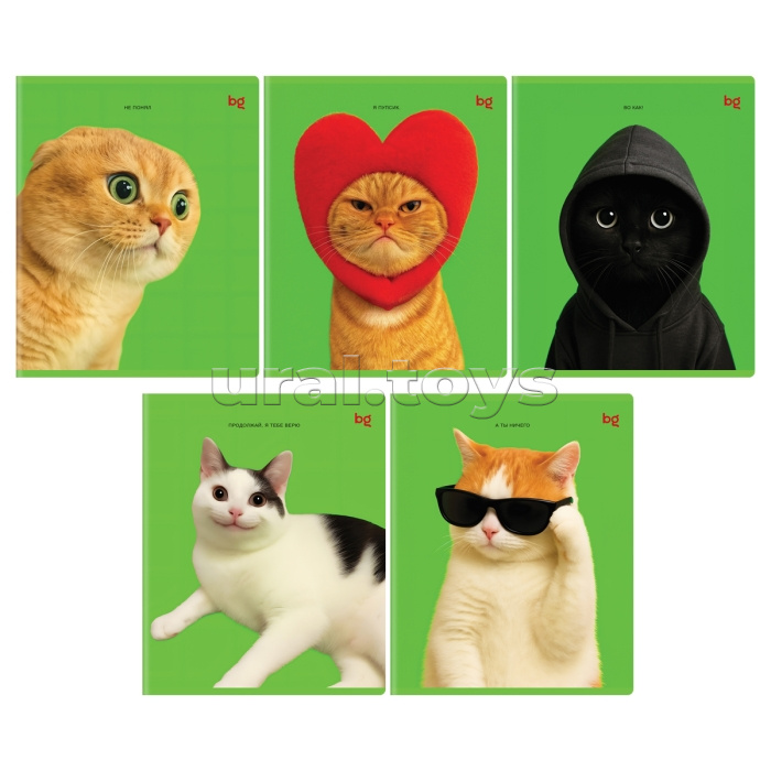 Тетрадь 48л., клетка "Во как!", выб. лак