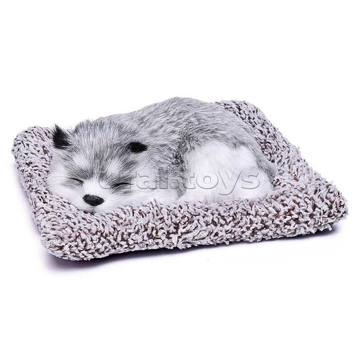 Набор питомец "Ласковый комочек" в пакете