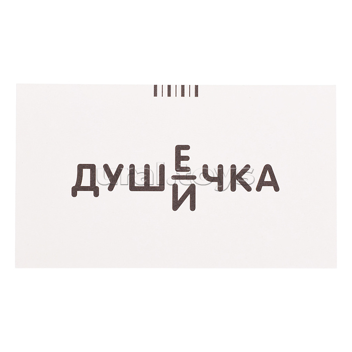 Занимательные карточки. IQ тренажеры. Русский язык 5. Пароход. Правописание окончаний имён прилагательных. 48 карточек. Штец А.А.