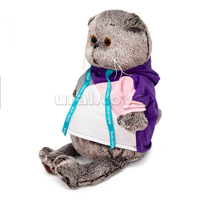 Кот Басик в разноцветной толстовке