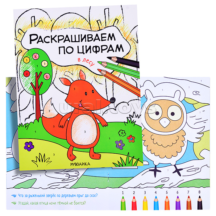 Раскрашиваем по цифрам. В лесу Раскрашиваем по цифрам. В лесу
