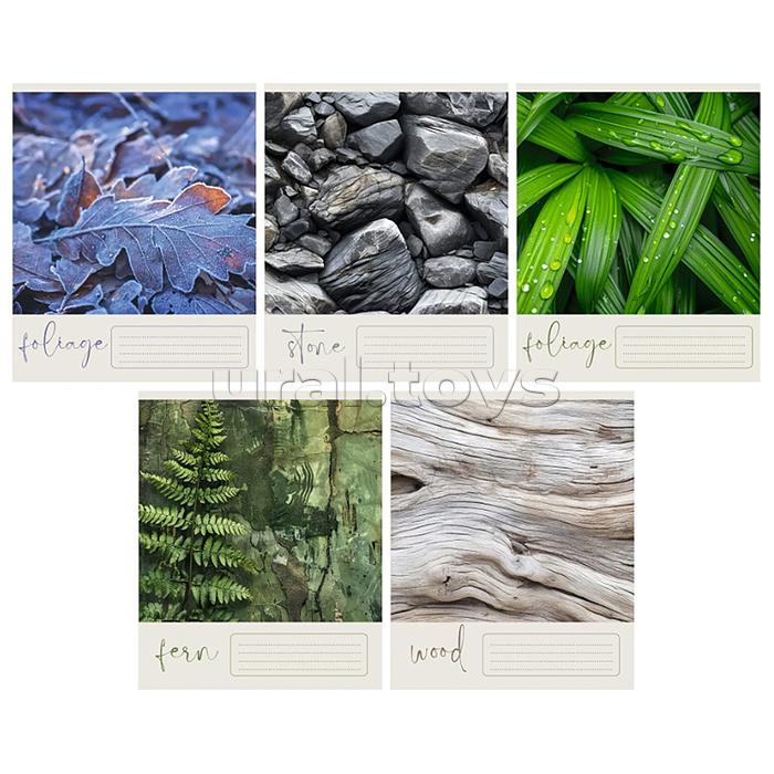 Тетрадь 48л. клетка "Природный код" А5 скрепка