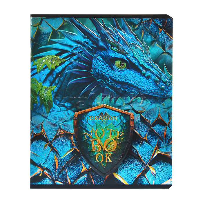 Тетрадь 48л. клетка, А5 "Король Драконов" скрепка