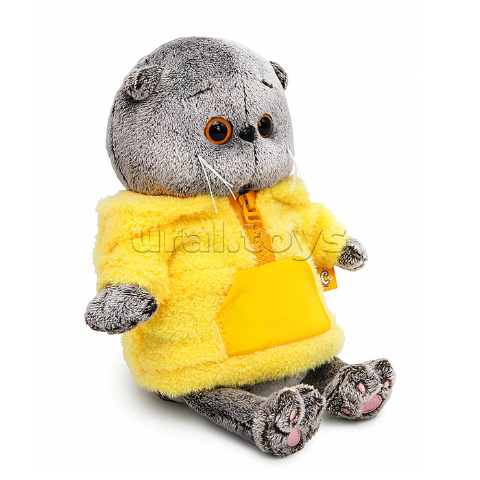 Кот Басик беби в анораке