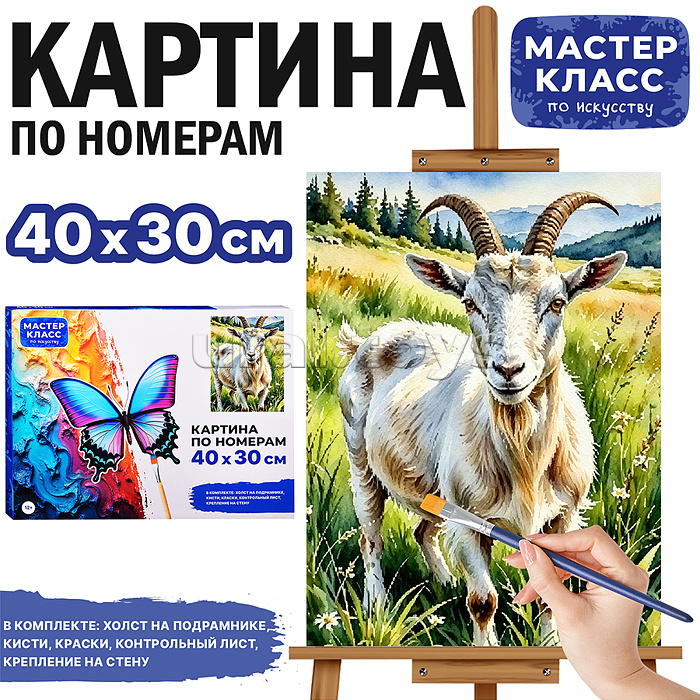 Картина по номерам "Козел на лугу" 40*30 см.