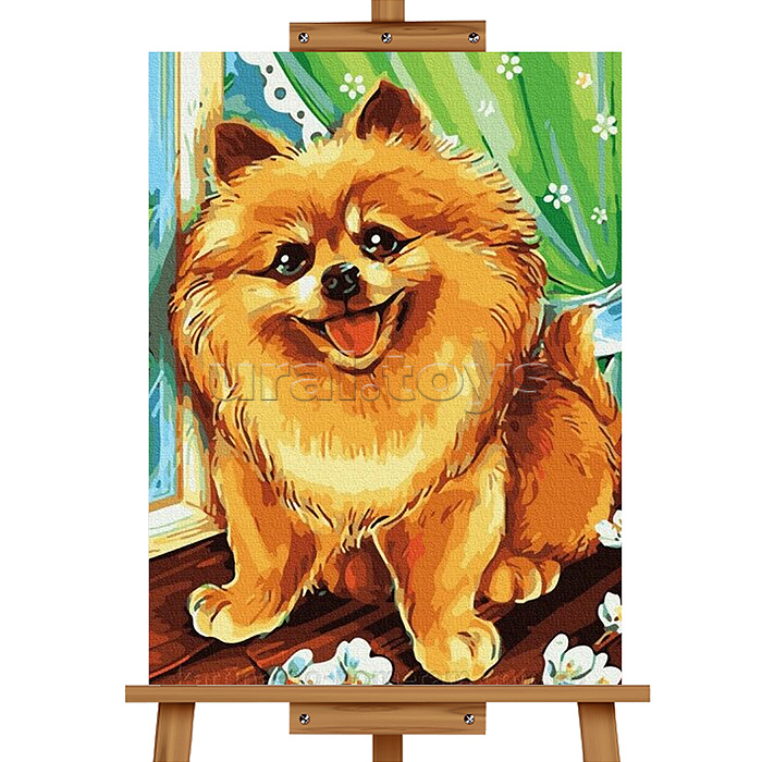 Набор для рисования "Картина по номерам 30х20см. Рыжик"