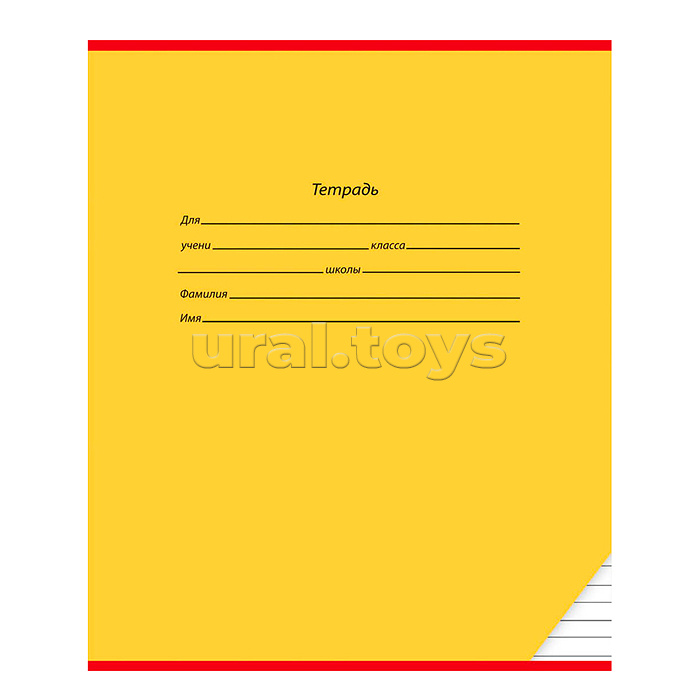 Тетрадь 12л. узкая линия "Классика" цвет.мелов.обл.,5 дизайнов в спайке