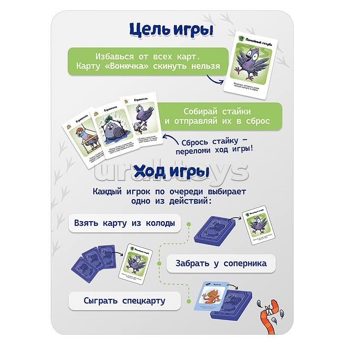 Компакт. Помойный голубь