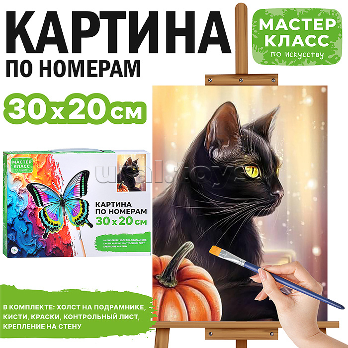 Набор для рисования "Картина по номерам 20*30 см. Черный кот"