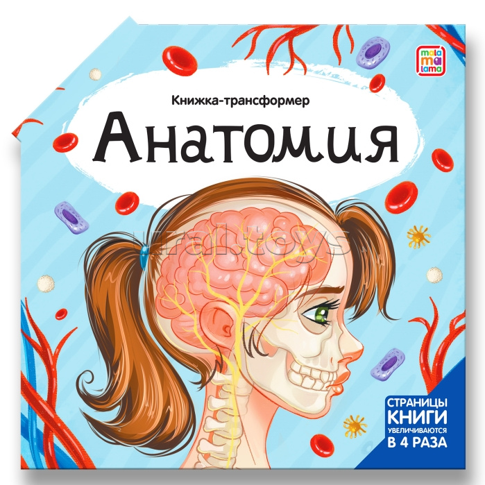 Книжка-трансформер. Анатомия