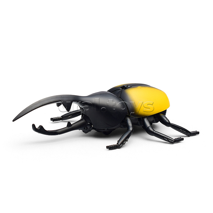 Жук в коробке