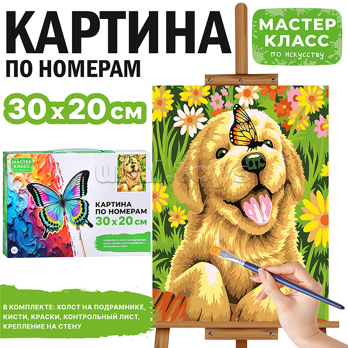 Картина по номерам "Щенок и бабочка" 30*20 см.
