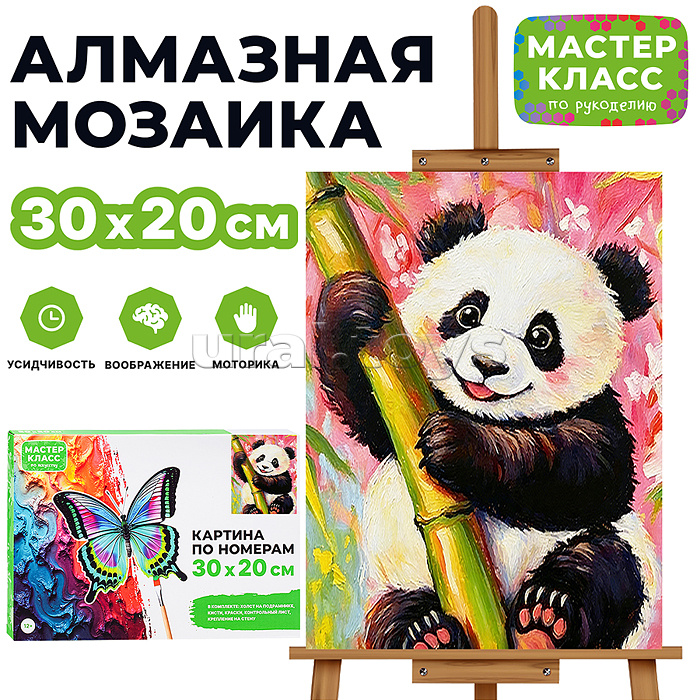 Картина по номерам MKR3020-137 "Весёлая панда" 30х20 см.