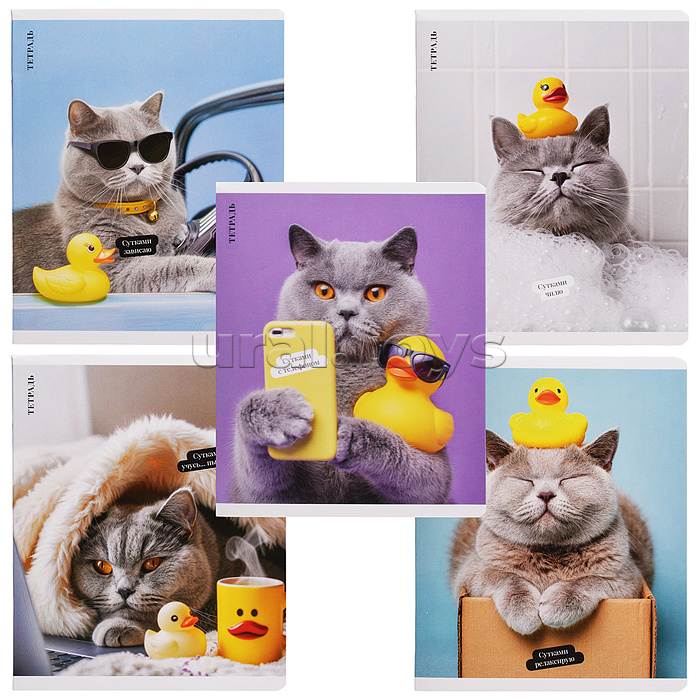 Тетрадь 48 л, клетка "Кот с уткой" А5+, мягкий переплёт (2 скобы)