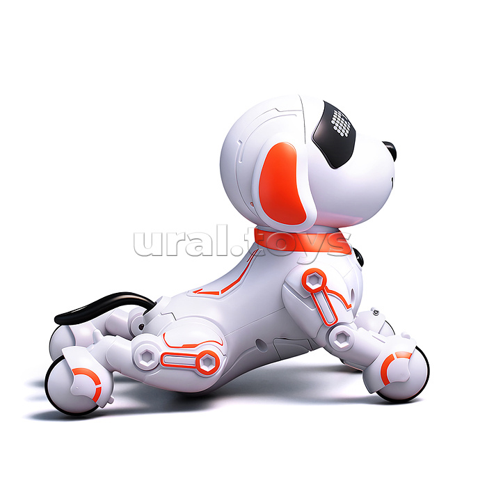 Собака "КиберЛап" в коробке