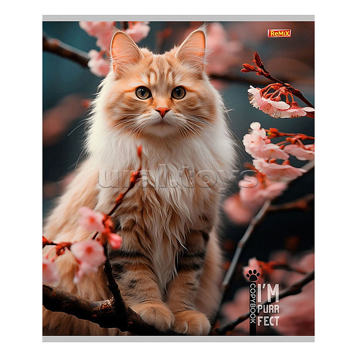 Тетрадь 96л. клетка "Коты и природа" обл- мелов.картон, второй блок