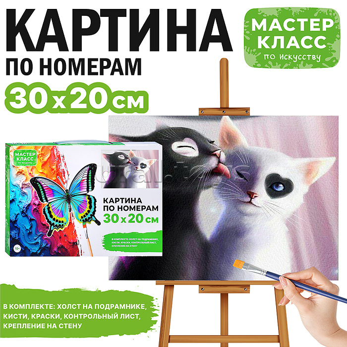 Набор для рисования "Картина по номерам 30х20 см. Инь и Янь"