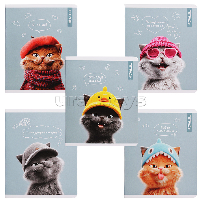 Тетрадь 48 л, клетка "Коты в школе" А5+, мягкий переплёт (2 скобы)