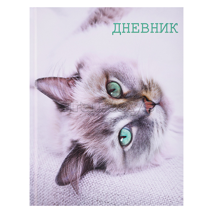 Дневник 5-11кл, тв обл .глянц/лам, 48л, Calligrata "Кошка"