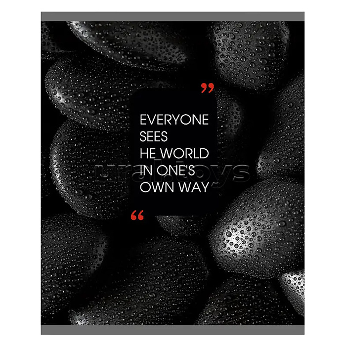 Тетрадь 48л. клетка "Natural Black" А5 скрепка