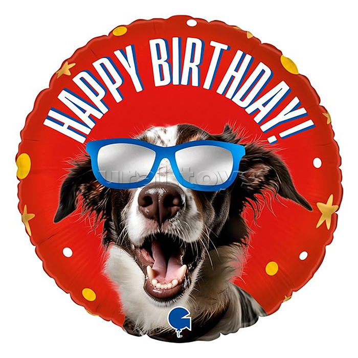 Шар (18''/46 см) Круг, Happy Birthday (классный пес в очках), Красный, 1 шт. Шар (18''/46 см) Круг, Happy Birthday (классный пес в очках), Красный, 1 шт.