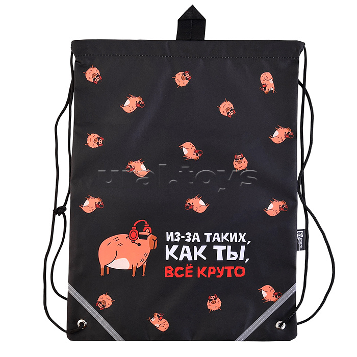 Мешок для обуви "Крутая капибара" 1 отделение, 36x48 см, полиэстер