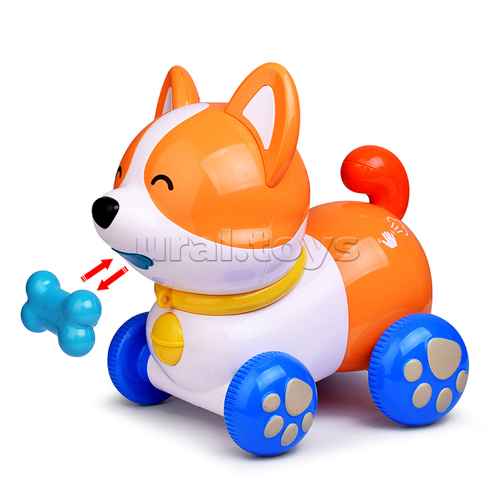 Собака "Каталка Корги" в коробке