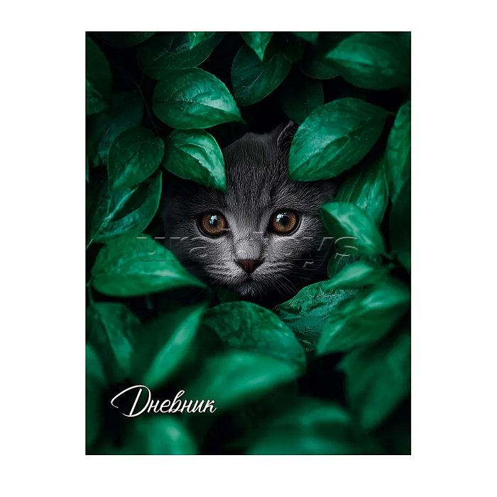 Дневник 5-11 кл. "Кот в листьях" 48л. глянц.ламин., 7БЦ