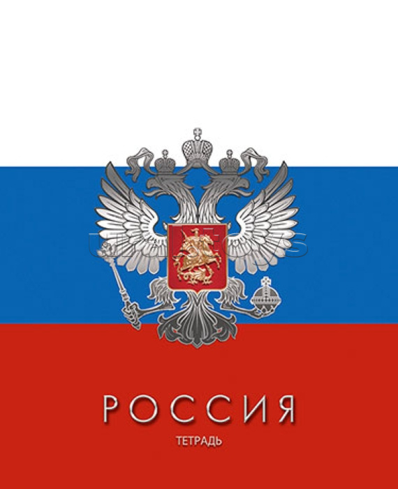 Тетрадь для подготовки к ЕГЭ 48 л. линейка