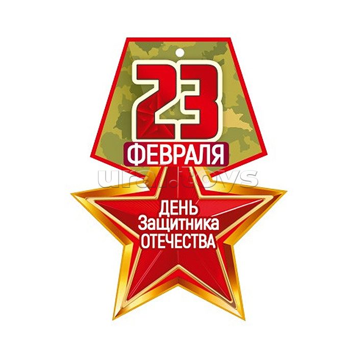 Медаль. 23 февраля. День защитника Отечества. Двухсторонняя