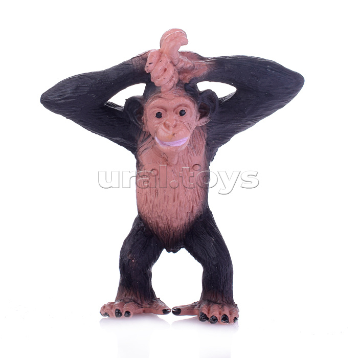 Набор животных, в коробке