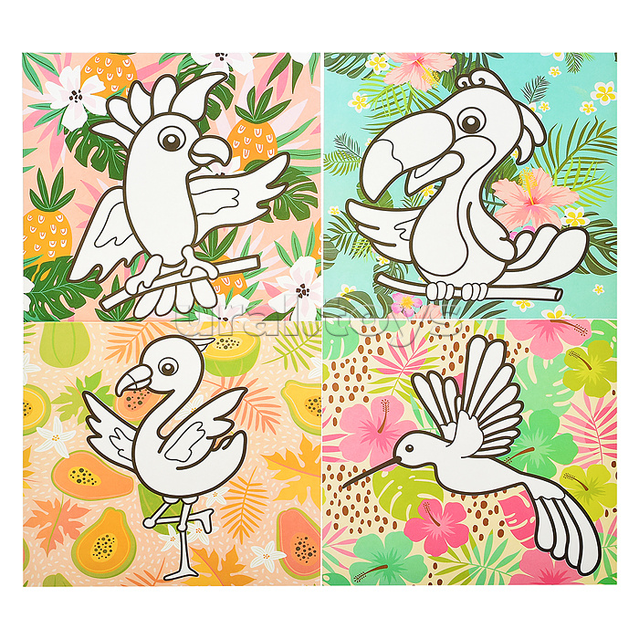 Раскраска пластилином "Необыкновенные птицы" 4 карт. 200х200 мм в папке конверте