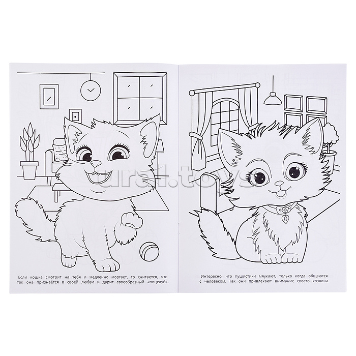 Милые котята. Раскраска