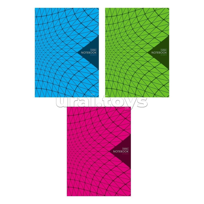 Тетрадь 80л. А4 клетка "New Line" на скобе 3 диз. в блоке