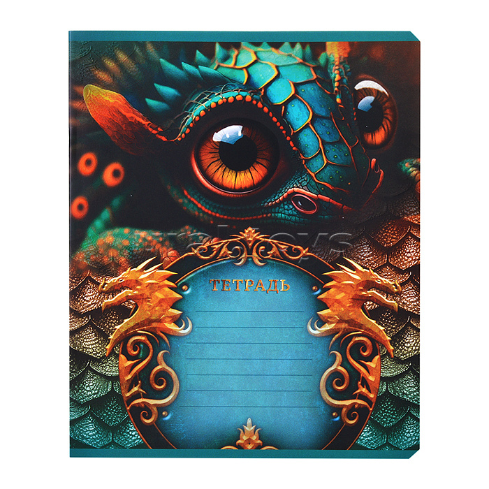 Тетрадь 12л. клетка, А5 "Дракоша" скрепка