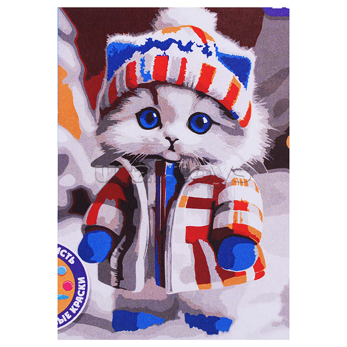 Картина по номерам "Кот в шапке" 20х30см