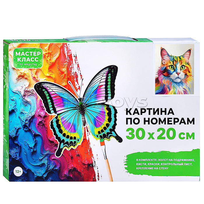 Картина по номерам "Необыкновенный взгляд" 30х20 см.
