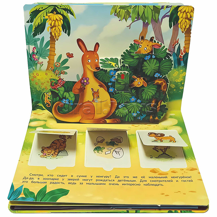 Книжка-панорамка с окошками "В зоопарке"