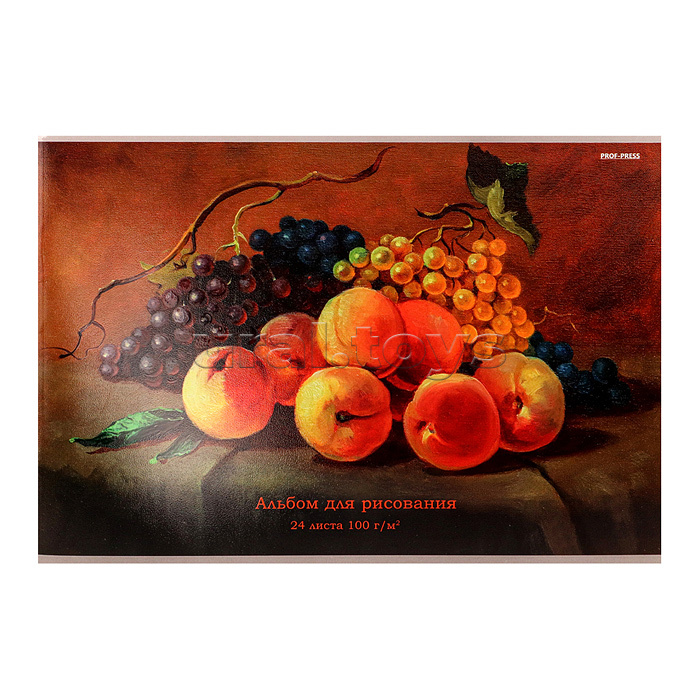 Альбом для рисования А4 24л. "Спелые фрукты - 1"