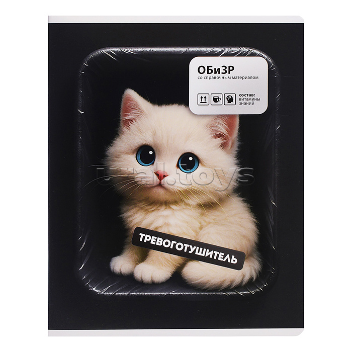 Тетрадь 48 л. клетка "Фразы с характером" ОБиЗР